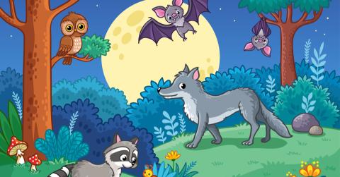 cartoon night scene with animals such as raccoon, coyote, bat, owl