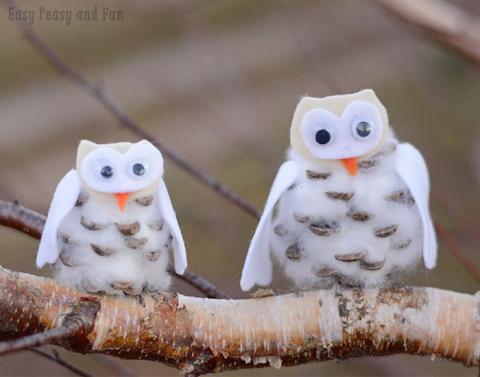 pinecone owls