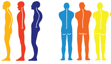 posture graphic